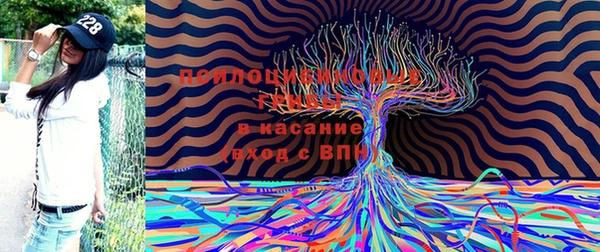 МДМА Бородино