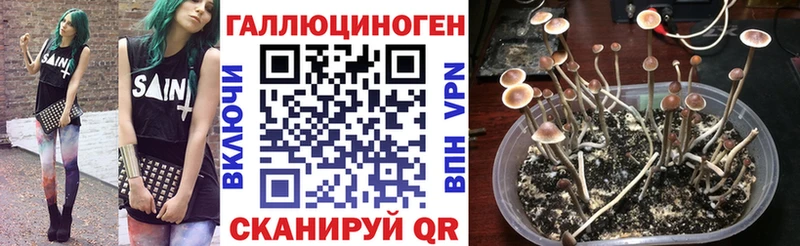Галлюциногенные грибы прущие грибы  кракен зеркало  Неман 